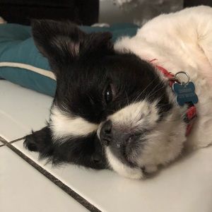 Meet your Posher, Aaliyah